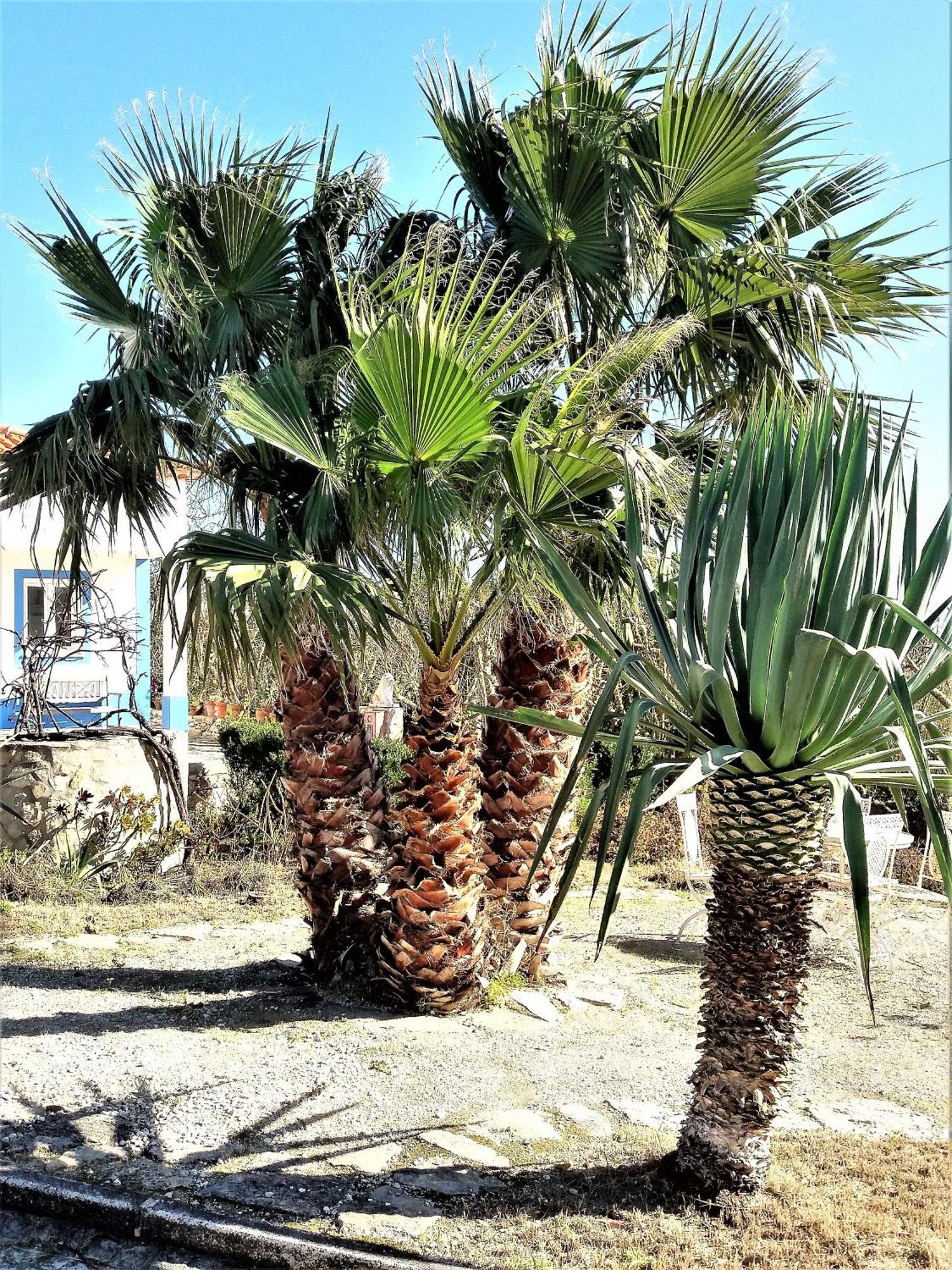 Agua Rocha Villa Serra de Mangues Værelse billede