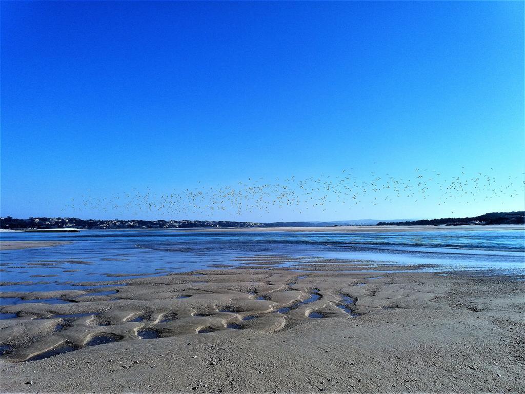 Agua Rocha Villa Serra de Mangues Eksteriør billede